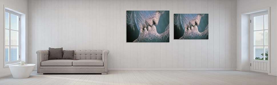 AMEMNY Canves Wall Art