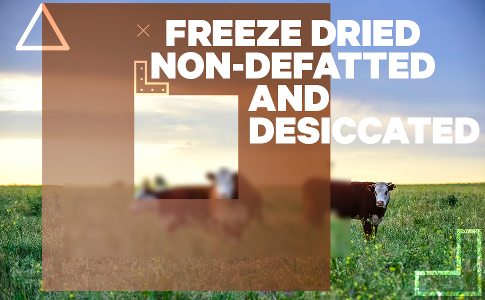 Codeage - Ayurvedic Herbs, Soil Based Organisms, Shelf Stable Vegan Probiotic Supplement