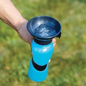water bottle for dog