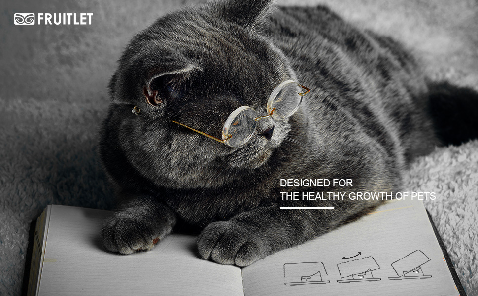 GDRHVFD Gamelle Plastique Chat Chien 420ml,0–22 ° Gamelle Chat Surélevée Et Inclinée,Bol Chat Anti Vomissement Anti Derapante,Bol Chat Ergonomique (Noir) 19 Bol pour chat