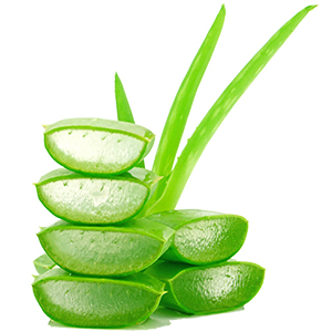 Aloe vera extract serum