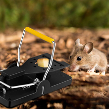 Small manufacture image 6