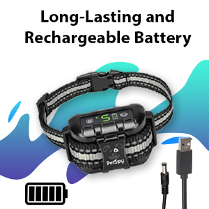 Long-Lasting battery