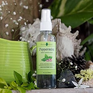 Peppermint Room Spray