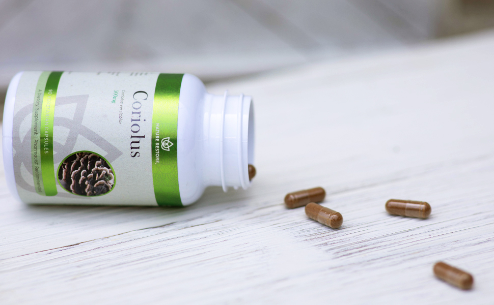 Nature restore coriolus versicolor mushroom turkey tail supplement immune health