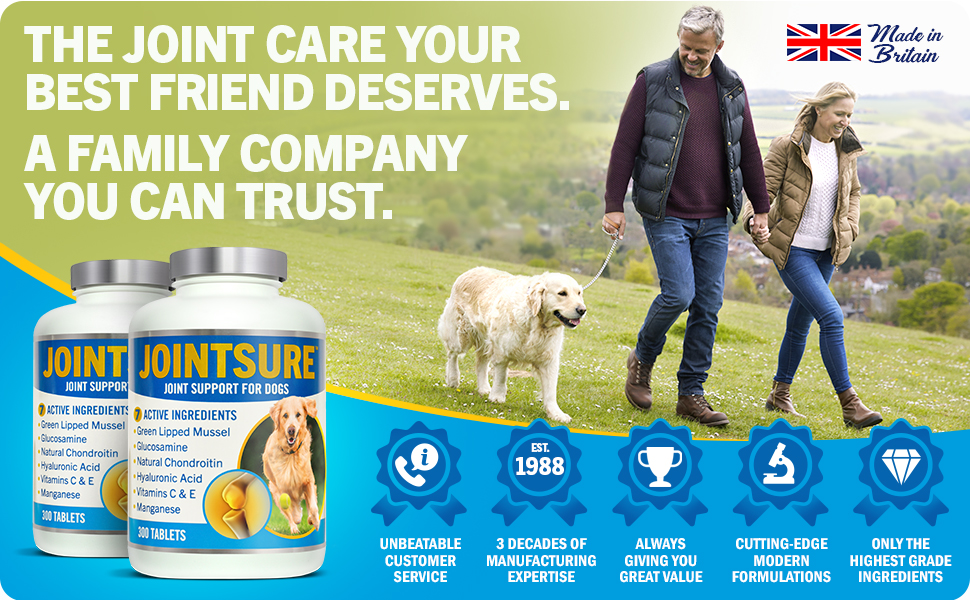 Jointsure Joint Supplements For Dogs 300 Tablets With Green
