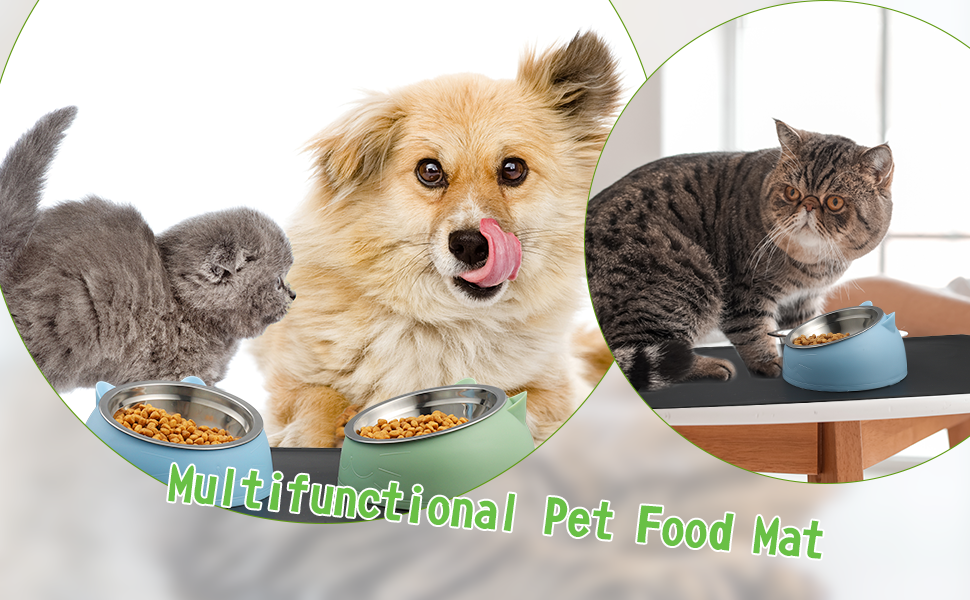 Bowl for Cats and Dogs