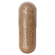 circulation heart blood heart brain memory ginkgo biloba red sage hawthorn policosanol cholesterol