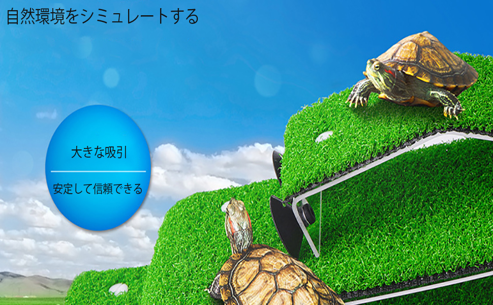 Awagas 亀の日なたぼっこ台 カメはしご 両生類用 再販ご予約限定送料無料 休憩テラス カメ浮島 自然傾斜 人工芝 ペット用品 水族館インテリア タートルテラス タートルバスキングプラットフォーム カメ桟橋 亀用テラス 水槽装飾 Awagas 亀の日なたぼっこ台 カメはしご 両生類用 再販ご予約限定送料無料 休憩テラス カメ浮島 自然傾斜 人工芝 ペット用品 水族館インテリア タートルテラス タートルバスキングプラットフォーム カメ桟橋 亀用テラス 水槽装飾