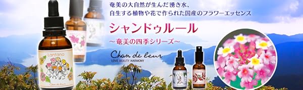 シャンドゥルール 奄美四季シリーズ ティーリーフ フラワーエッセンス 2本 シャンドゥルール 奄美四季シリーズ ティーリーフ