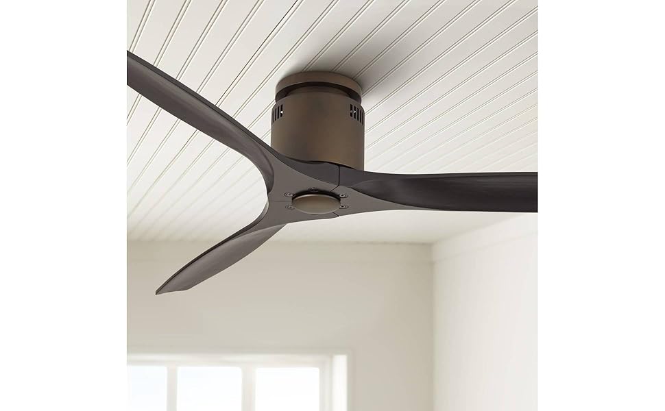 REINA Amazon.com: Casa Vieja 36