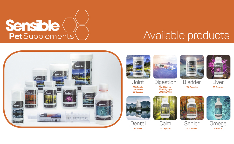 Sensible Pet Supplements 'Calm' for cats and dogs. Containing L