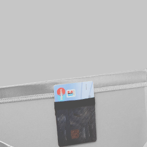 Vantissimo silver pocket