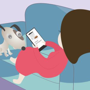 Comedero para mascotas 2