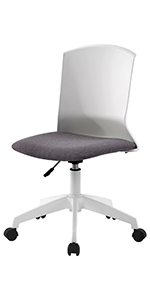 Desk Chair Ergonomic