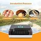 Egg Incubator Gift for Kids Fully Automatic Egg Incubator Poultry Hatcher Machine with Led Candler