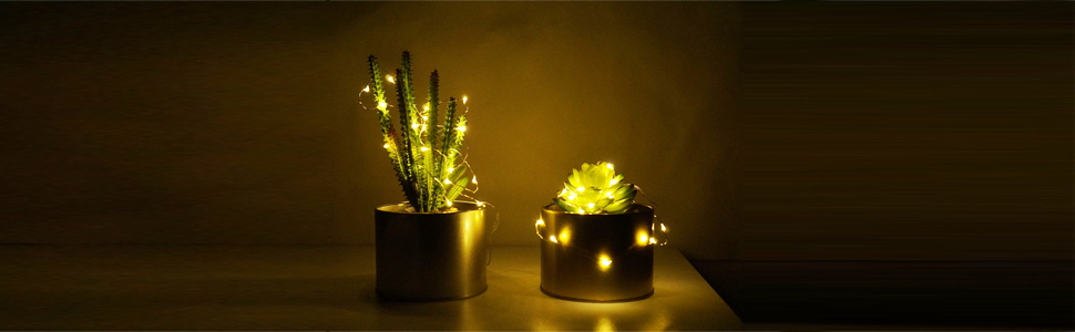 10 Pack Steady Fairy Lights Battery Operated