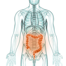 TauBiotic - Stomach juice resistant