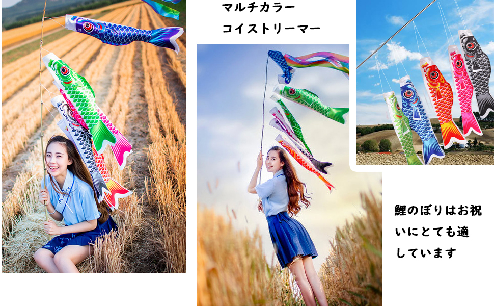 御両立鯉のぼり インテリア 子どもの日 男の子 端午の節句 Amazon.co.jp: 5点セット鯉 ぼり鯉庭室内用初節句日端午 節句男