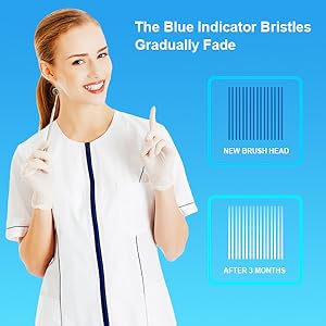 oralb replacement toothbrush heads