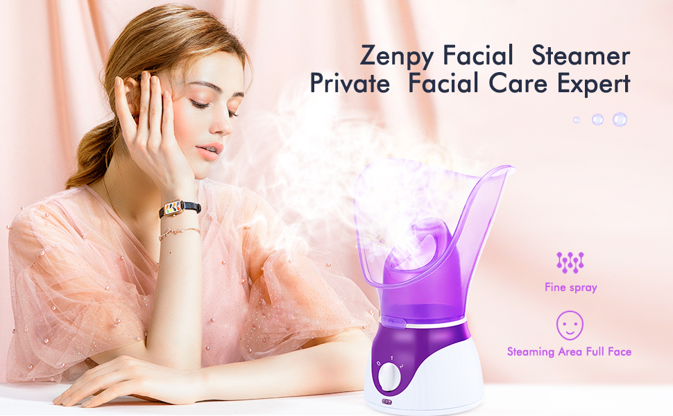 face steamer