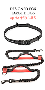Hands Free Dog Leash for Large Dogs