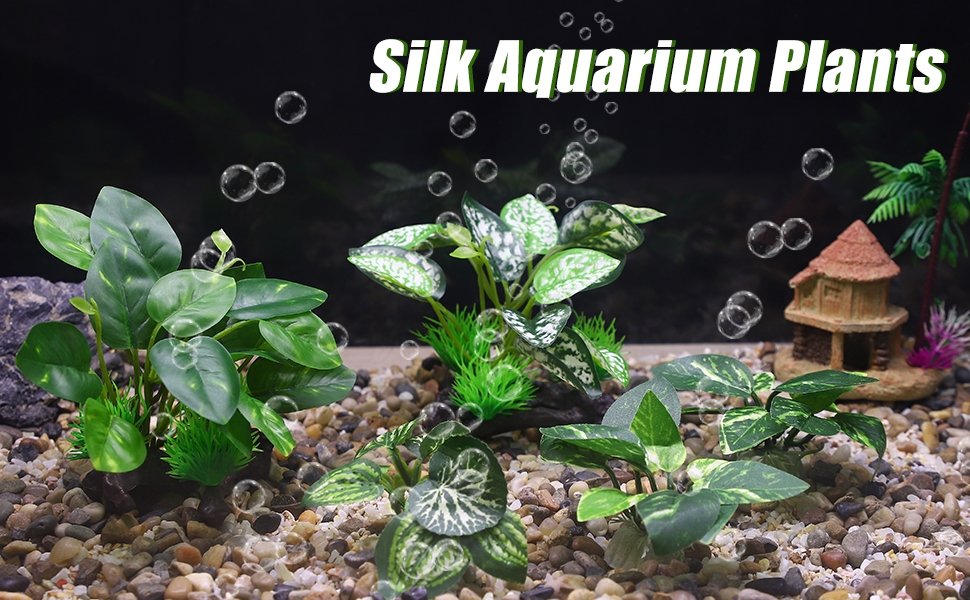 Standard Image Header With Text