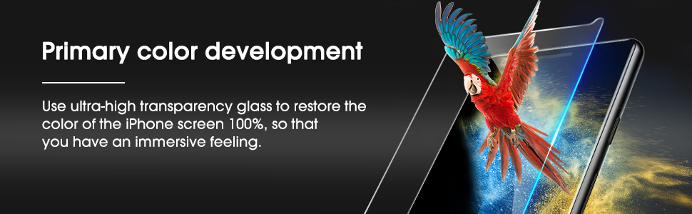 Pixel 4 Screen Protector