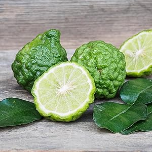 bergamot