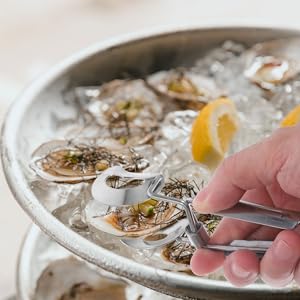 Amazon.co.jp: VINTORKY 1セットステンレス製生牡蠣皿