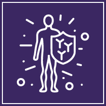 • Strengthens Immunity