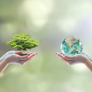 Tree and Earth