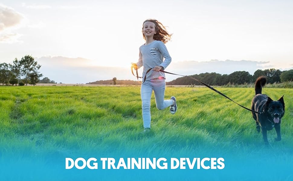 dog training device