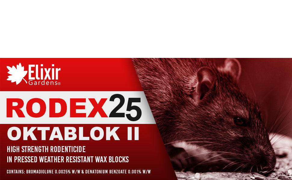 LOVE RAT（RED Ver.) s-l400.jpg