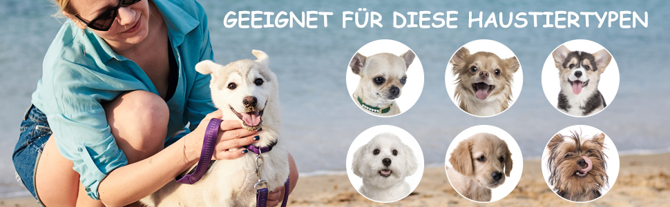 Hundewagen Hundebuggy