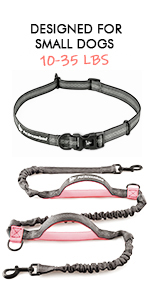 Hands Free Dog Leash for Small Dogs