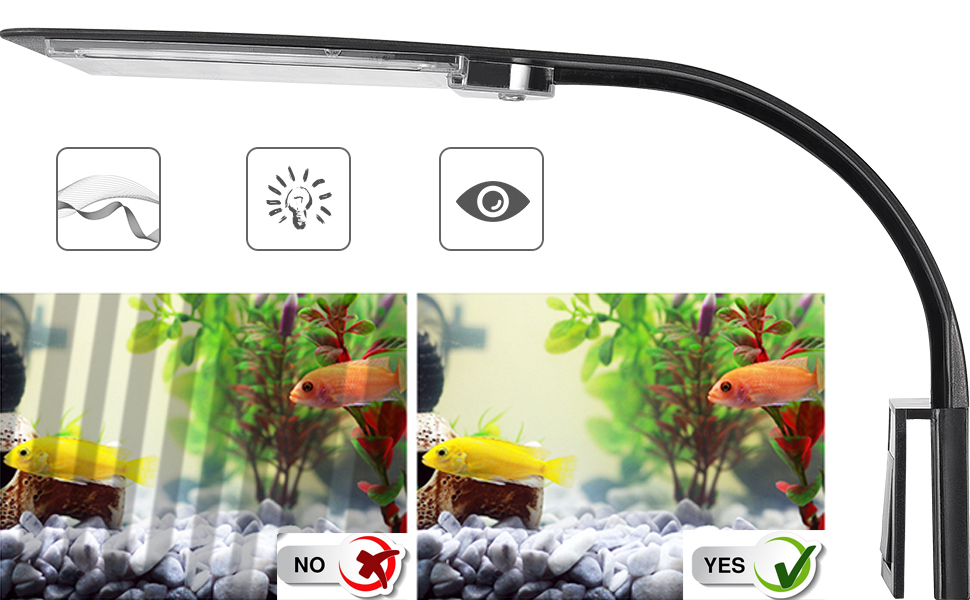 LED Aquarium