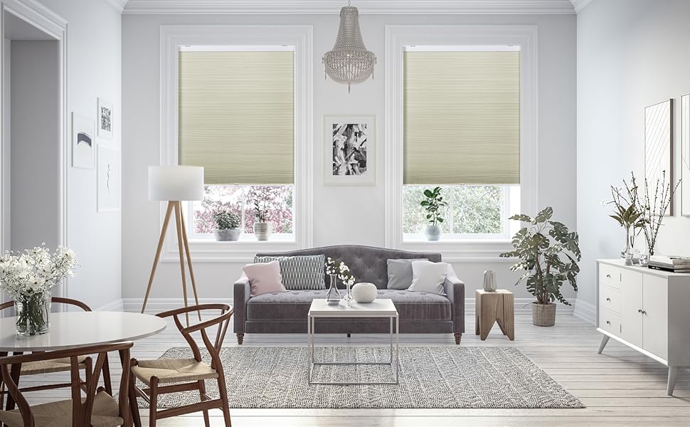 TWOPAGES Blackout Cordless Cellular Shades for Windows