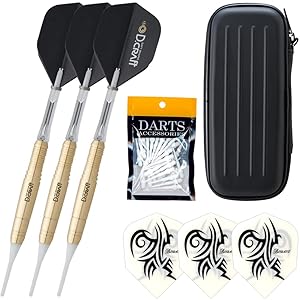 【美品】期間限定価格‼︎ダーツ2本セット　ケース,チップなど有り Amazon | ダーツセット 初心者 マイダーツ D.craft ディー