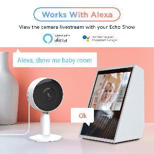 Works with Alexa & Google Assistant