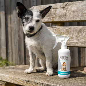 Pet care spray bottle.