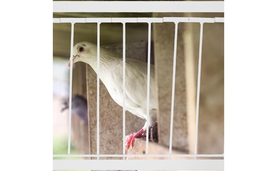 鳩ページ10/3まで Amazon | KITANDOVE 1個 鳩小屋の扉 ハトの一方通行のドア