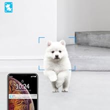 tracking ip camera