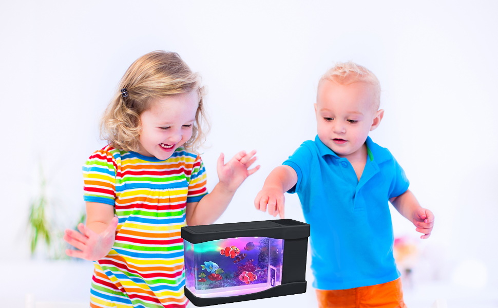 Mini Aquarium