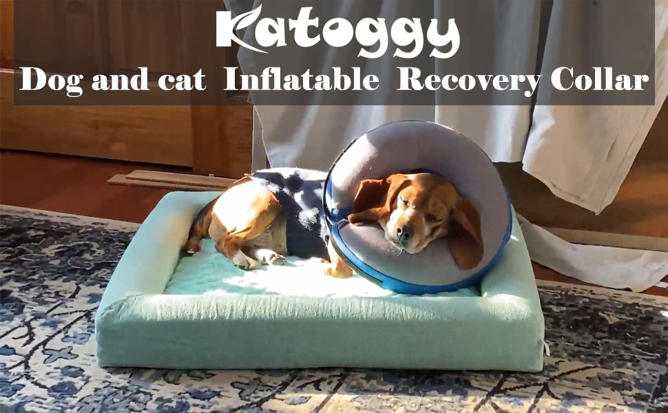 Katoggy Inflatable Dog Cone Collar for Dogs After Surgery, Soft Adjustable Blow up