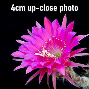 Small manufacture image 2