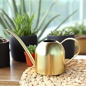 Gold Watering Can for succulent plants