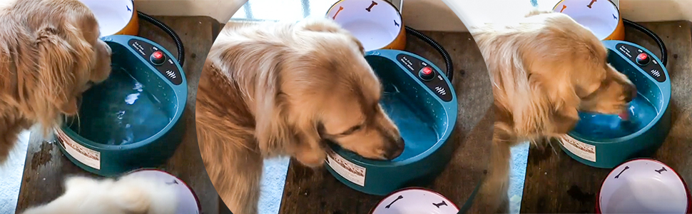 Amazon | Namsan 加熱ペットボウル 加熱 給水器 犬 猫 水飲み器