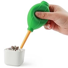 tools for succulents indoor gardening tools kit garden tools