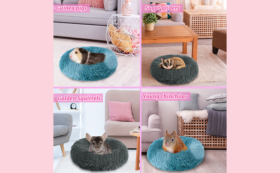 Guinea Pig Beds